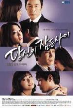 Nae Sarang Nae Gyeotae (Serie de TV)