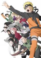 Naruto Shippûden 3: Inheritors of Will of Fire  - Posters