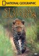 Leopards Stalking (TV)