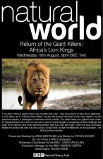 Return of the Giant Killers: Africas Lion Kings 
