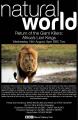 Natural World: Return of the Giant Killers: Africas Lion Kings 