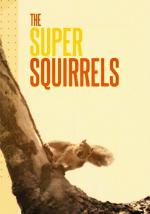 Natural World: Super Squirrels 