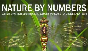 Nature by Numbers (C)