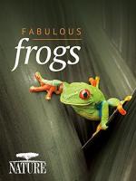 Fabulous Frogs (TV)