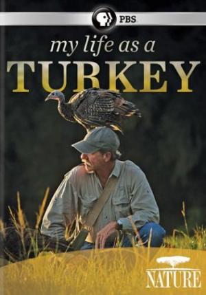 My Life as a Turkey (TV)