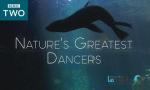 Los grandes bailarines de la naturaleza (Miniserie de TV)