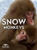 Snow Monkeys  - Poster / Imagen Principal