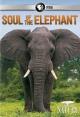 El alma del elefante (TV)