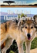 The Wolf That Changed America (TV)