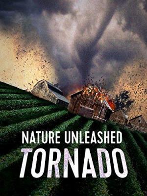 Nature Unleashed: Tornado 