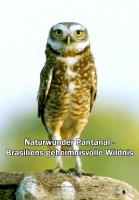 Naturwunder Pantanal - Brasiliens geheimnisvolle Wildnis  - Poster / Main Image