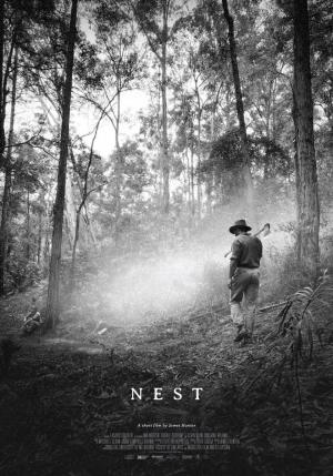 Nest (C)