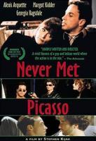 Never Met Picasso  - Poster / Imagen Principal