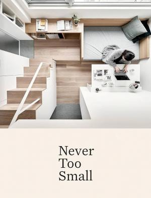 Never Too Small (TV Series)
