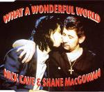 Nick Cave & Shane MacGowan: What A Wonderful World (Vídeo musical)