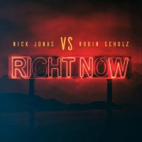 Nick Jonas & Robin Schulz: Right Now (Vídeo musical) - Poster / Imagen Principal
