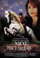 Nico the Unicorn 