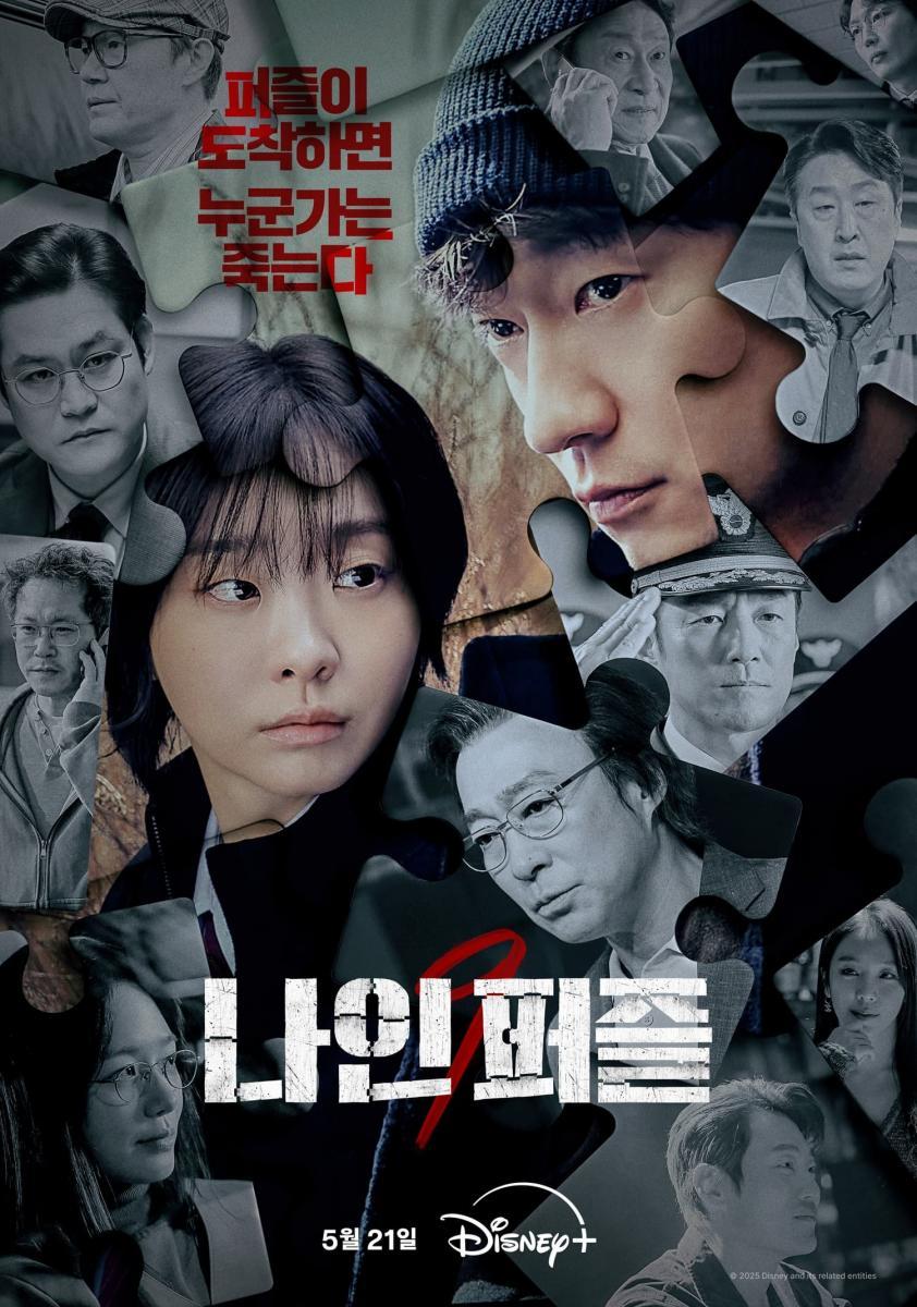 Nine Puzzles (TV Series)