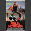 Ninja Destroyer (1986) - IMDb