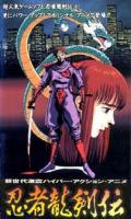 Ninja Gaiden  - Poster / Main Image