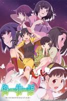 Nisemonogatari (TV Series) - Poster / Main Image