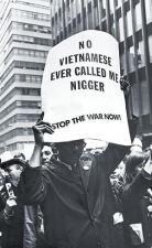 No Vietnamese Ever Called Me Nigger 