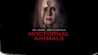 Nocturnal Animals  - Wallpapers
