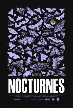 Nocturnes 