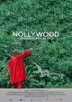 Nollywood - Filmbusiness African Style 