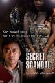 The Secret Scandal 
