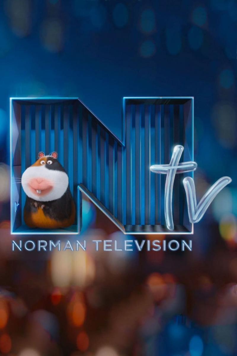 Sección visual de NTV: Televisión Norman (C) - FilmAffinity