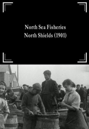 North Sea Fisheries, North Shields (C)