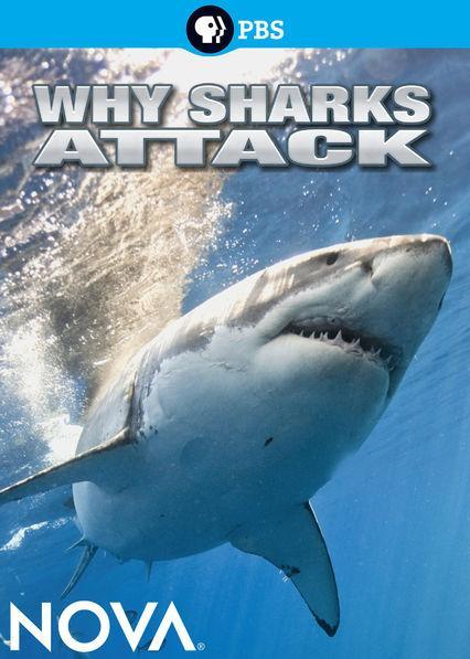 Why Sharks Attack 