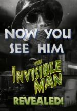 Ahora sí le ven: el hombre invisible al descubierto 