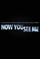 Now You See Me  - Posters
