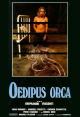 Oedipus orca 