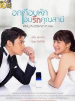 My Husband in Law (TV Series)
