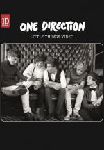 One Direction: Little Things (Music Video)