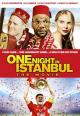 One Night in Istanbul 