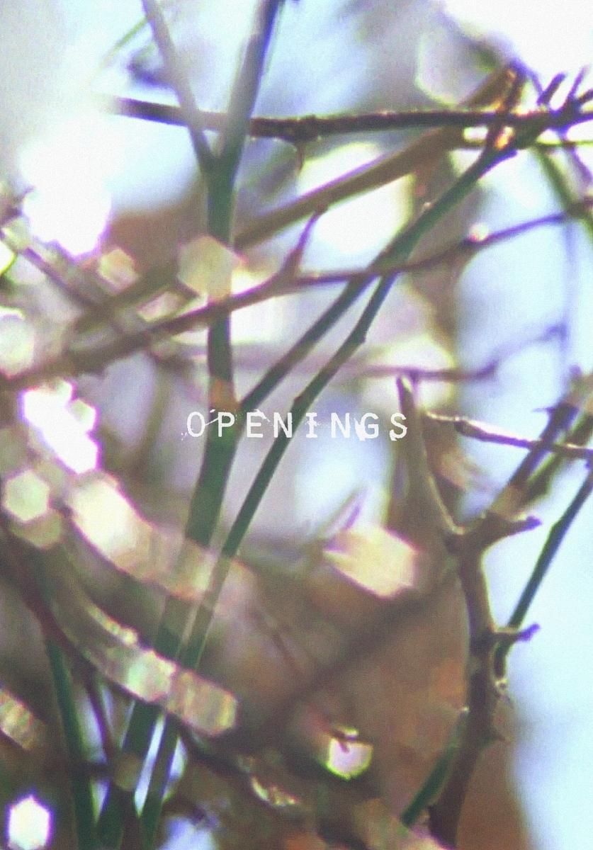 Openings (S)