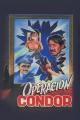Operación Cóndor 