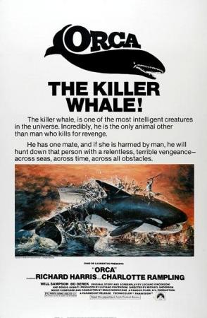 Orca, la ballena asesina 