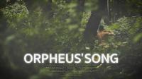 Orpheus' Song  - 