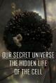 Our Secret Universe: The Hidden Life of the Cell (TV)