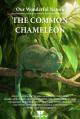 Our Wonderful Nature - The Common Chameleon (S)