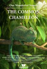 Nuestra maravillosa naturaleza: El camaleón (C)