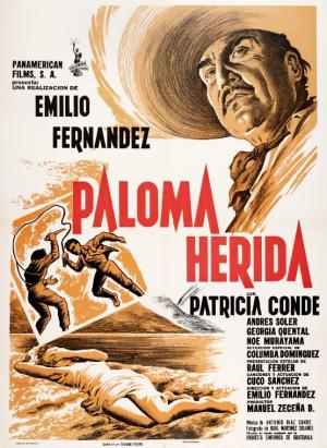 Paloma herida 