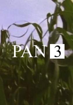 Pan 3 (C)