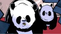 Pandas (S) - Stills