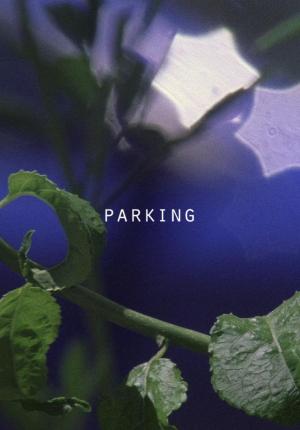 Parking (C)